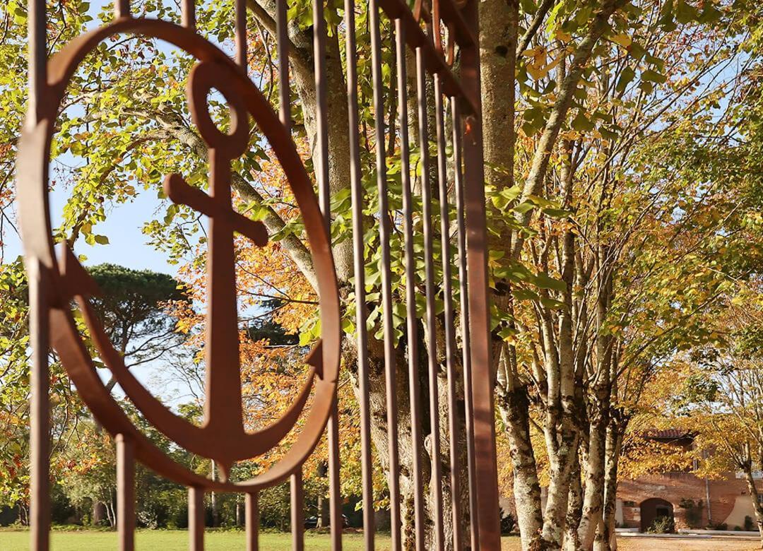 Chateau Du Go Albi Eksteriør billede