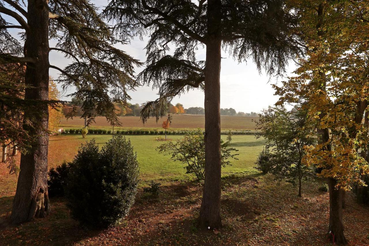 Chateau Du Go Albi Eksteriør billede
